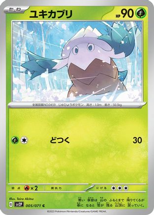 Image of Snover (005/071) - SV2P Snow Hazard