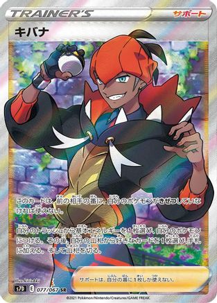 Image of Raihan - 077/067 (077/067) - S7D Skyscraping Perfection Holofoil