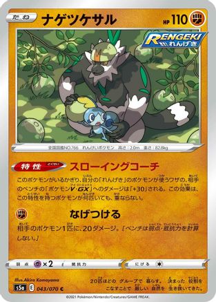 Image of Passimian (043/070) - S5a Peerless Fighters