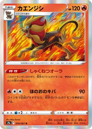 Image of Pyroar (016/067) - S9a Battle Region Holofoil
