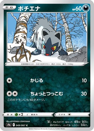 Image of Poochyena (049/067) - S9a Battle Region