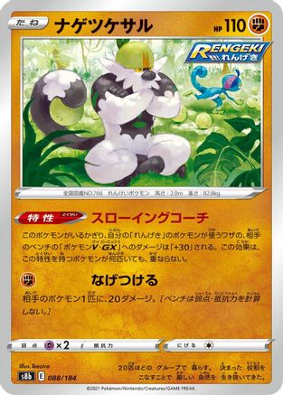 Image of Passimian - 088/184 (088/184) - S8b VMAX Climax