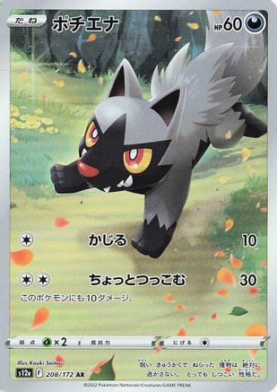 Image of Poochyena - 208/172 (208/172) - S12a VSTAR Universe Holofoil