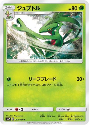 Image of Grovyle (003/096) - SM7 SkySplitting Charisma