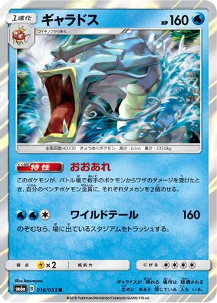 Image of Gyarados (016/053) - SM6a Dragon Storm Holofoil
