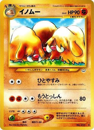 Image of Piloswine  - Awakening Legends