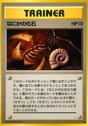 Image of Mysterious Fossil  - Mystery of the Fossils
