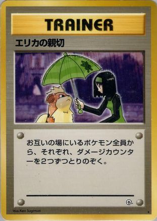 Image of Erika's Kindness  - Leaders Stadium