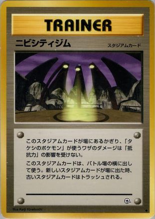 Image of Pewter City Gym  - Leaders Stadium