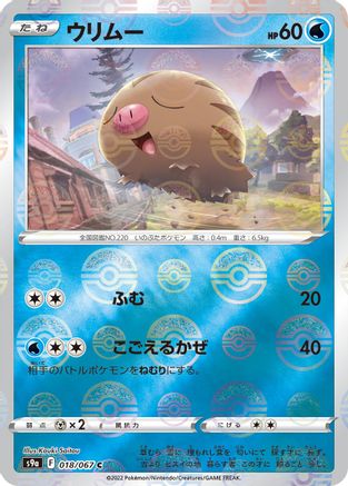 Image of Swinub (Mirror Holofoil) (018/067) - S9a Battle Region Holofoil