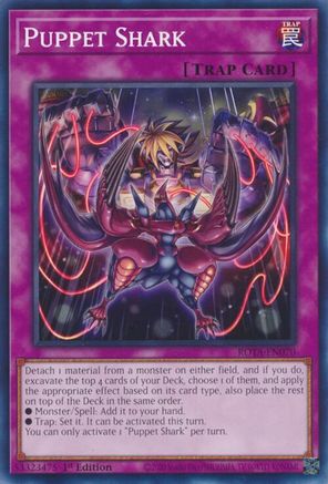 Image of Puppet Shark [ROTA-EN070] Common