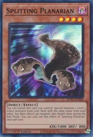 Image of Splitting Planarian [ROTA-EN100] Super Rare
