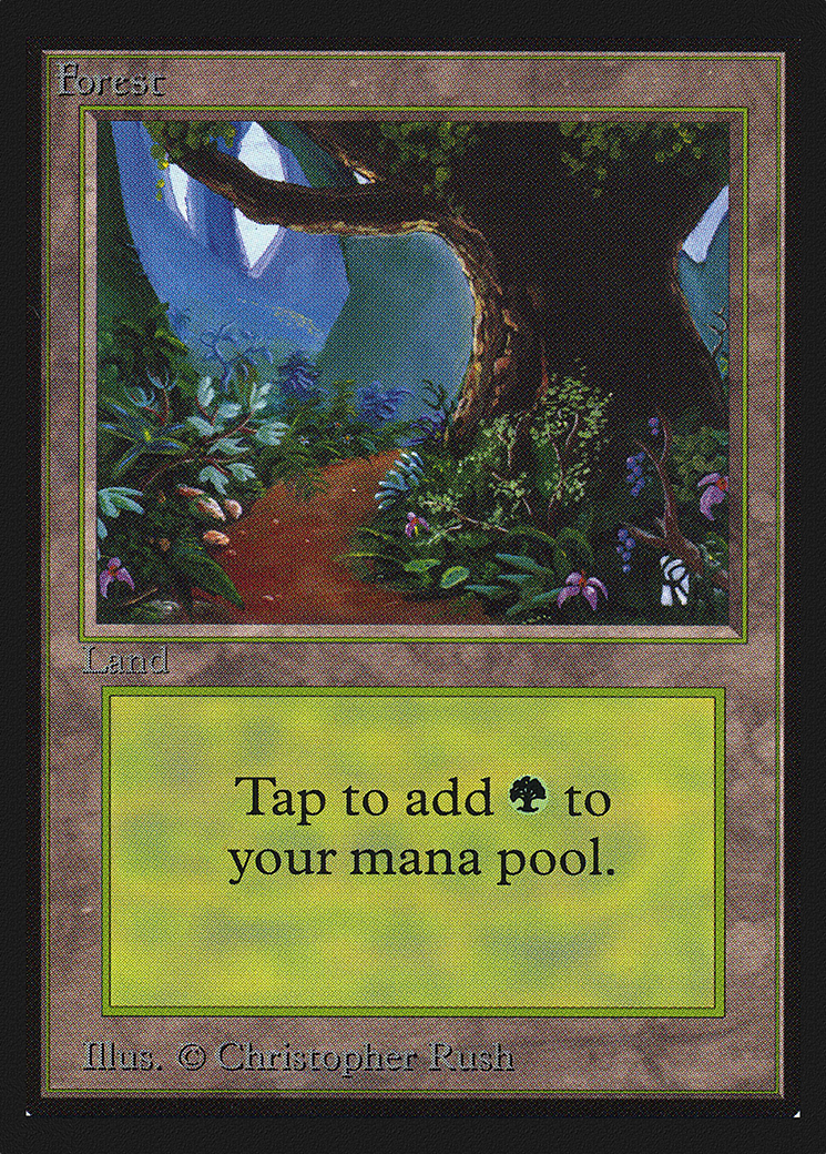 Image of Forest (Flower Path) [International Collectors' Edition]