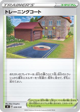Image of Training Court (028/030) - sK VSTAR Premium Trainer Box