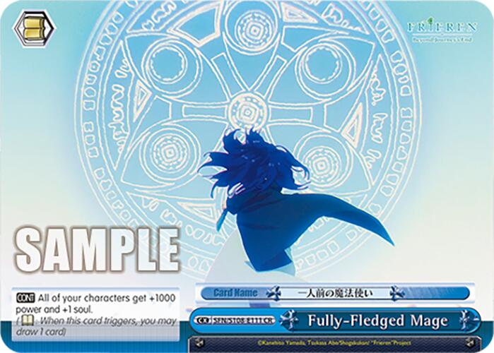 Image of Fully-Fledged Mage [Frieren: Beyond Journey's End]