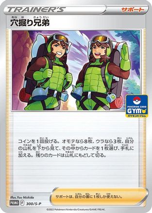 Image of Digging Duo - 300/S-P (300/S-P) - SP Sword  Shield Promos