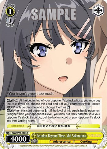 Image of Reunion Beyond Time, Mai Sakurajima [Rascal Does Not Dream of a Dreaming Girl]