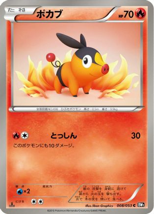 Image of Tepig (008/053) - BW1 Black Collection 1st Edition