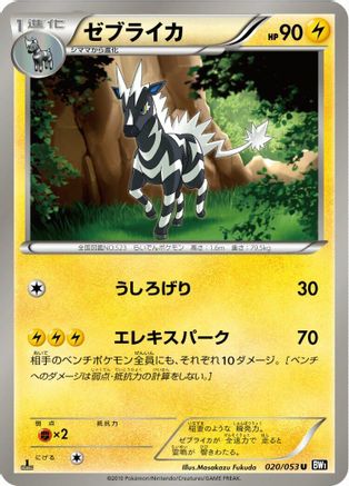 Image of Zebstrika (020/053) - BW1 Black Collection 1st Edition