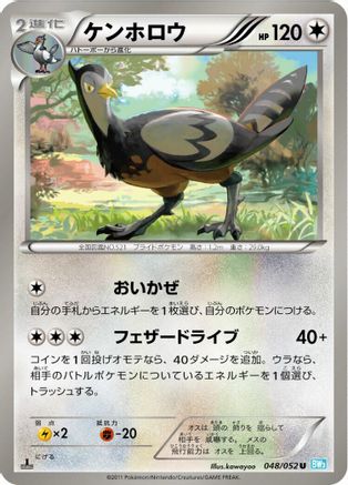 Image of Unfezant (048/052) - BW3 Hail Blizzard 1st Edition
