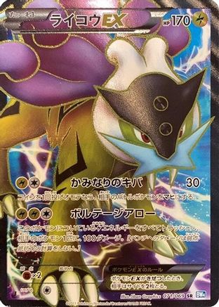 Image of Raikou EX - 071/069 (071/069) - BW4 Dark Rush Unlimited Holofoil