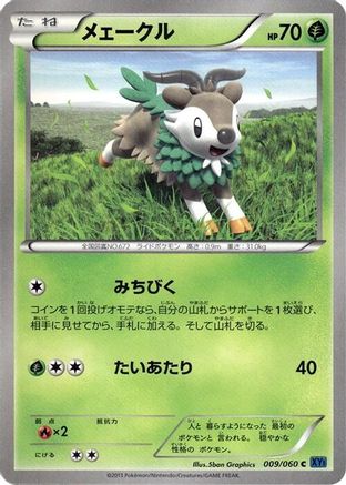 Image of Skiddo (009/060) - XYBx Collection X 1st Edition