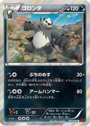 Image of Pangoro (064/096) - XY3 Rising Fist 1st Edition Holofoil
