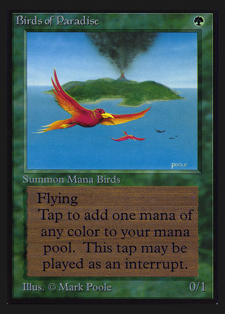 Image of Birds of Paradise [Collectors' Edition]