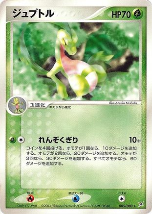 Image of Grovyle (005/080) - Magma VS Aqua Two Ambitions Unlimited