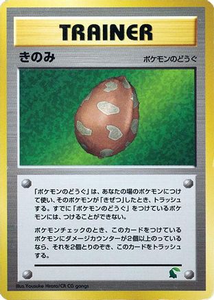 Image of Berry  - Intro Pack Neo Chikorita