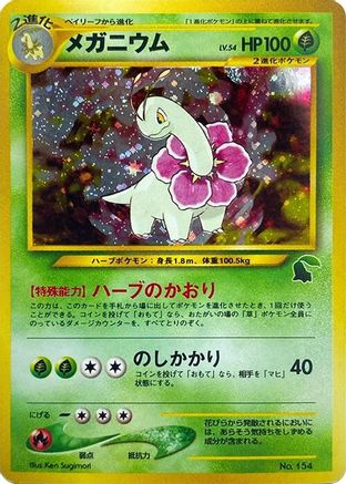 Image of Meganium  - Intro Pack Neo Chikorita Holofoil