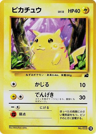 Image of Pikachu - 13 (13) - Intro Pack Bulbasaur