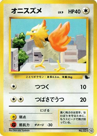 Image of Spearow (13) - Intro Pack Squirtle
