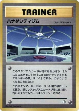 Image of Cerulean City Gym  - City Gym Decks