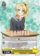 Fukashigi no Carte, Nodoka Toyohama (SBY/W114-E012S SR) [Rascal Does Not Dream Series]