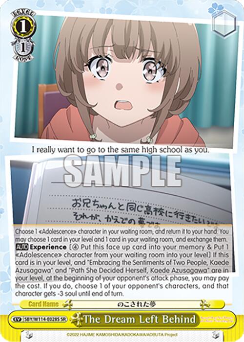 Image of The Dream Left Behind (SBY/W114-E028S SR) [Rascal Does Not Dream Series]
