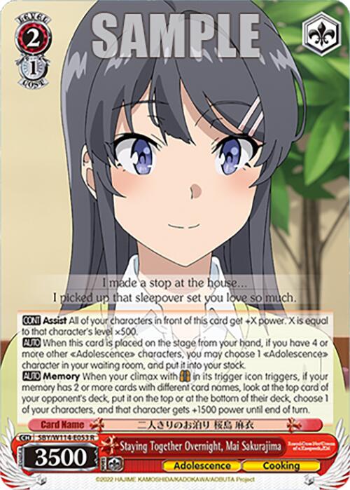Image of Staying Together Overnight, Mai Sakurajima (SBY/W114-E053 R) [Rascal Does Not Dream Series]