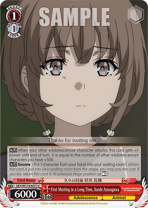 Image of First Meeting in a Long Time, Kaede Azusagawa (SBY/W114-E071 C) [Rascal Does Not Dream Series]