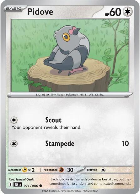 Image of Pidove (071/086) [Scarlet & Violet: Black Bolt]