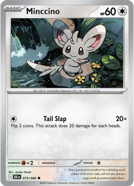 Image of Minccino (075/086) [Scarlet & Violet: Black Bolt]