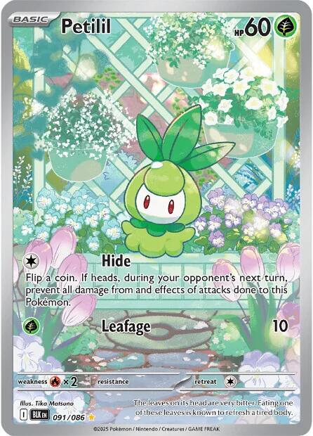 Image of Petilil (091/086) [Scarlet & Violet: Black Bolt]