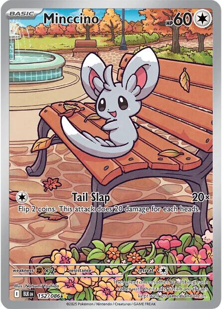 Image of Minccino (152/086) [Scarlet & Violet: Black Bolt]