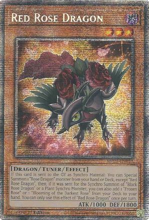 Image of Red Rose Dragon [MP25-EN037] Starlight Rare