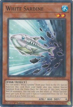 Image of White Sardine [MP25-EN305] Common