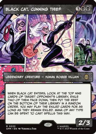 Image of Black Cat, Cunning Thief (Borderless) [Marvel's Spider-Man]