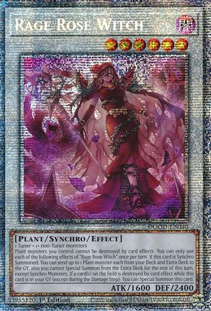 Image of Rage Rose Witch (Starlight Rare) [DOOD-EN040] Starlight Rare