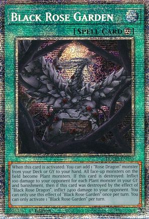 Image of Black Rose Garden (Starlight Rare) [DOOD-EN055] Starlight Rare