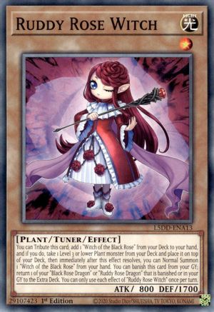 Image of Ruddy Rose Witch [L5DD-ENA13] Common