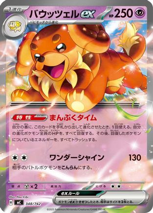 Image of Dachsbun ex (348/742) - Start Deck 100 Battle Collection