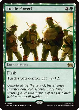 Image of Turtle Power! [Teenage Mutant Ninja Turtles]